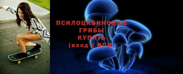 соль ск Бородино