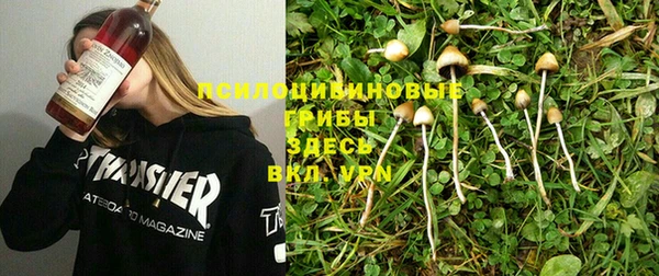 дживик Бугульма