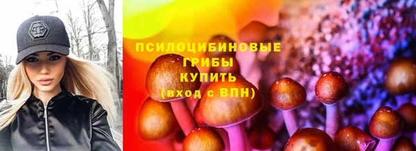 дживик Бугульма